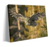 Minimalist Flying Birds Great Gray Owl Canvas Poster Wall Art, Sleek Wild Animal Print, Modern Simple Wall Decor for Home Hallway Bedroom Living Room Home Office 08x12inch(20x30cm)
