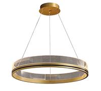 Minimalist Living Room Ring Chaner Light Luxury Metal Pendant Ceiling Lighting 42W LED Dimmable Lighting Fixtures with Remote Control for Restaurant Hotel Lobby (Stepless Dimming)