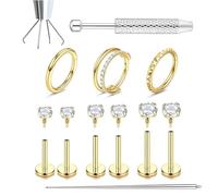 Minimalist Niche Design Nose Stud Set With Tools，Universal for Cartilage Eyebrow and Lip Ring，Unisex for Men and Women.(Gold Set)