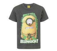Minions Boy's Short Sleeved T-Shirt (Boys Grey) in Grey | Size: 5-6 Years Minions Grey 5-6 Years
