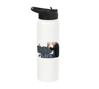 Minions Despicable Me 4 Gru Dad Life Stainless Steel Insulated Water Bottle