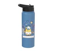 Minions & Monsters Vision is an Art Stainless Steel Insulated Water Bottle