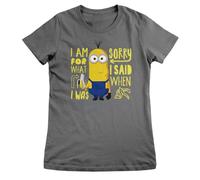 MINIONS Officially Licensed Sorry For What I Said When I Was Hungry Women T-Shirt (Dark Grey), Large