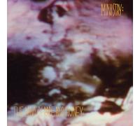 Ministry The Land of rape and honey LP multicolor Onesize