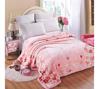 Mink Korean Blanket, Heavy Fleece Blanket 71x87inch,6.6LB Warm Winter Blankets,2 Ply Reversible Soft Fuzzy Microfiber Thermal Blanket for Autumn Winter