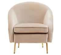 Mink Velvet Arm Chair, Luxury Velvet Upholstered Accent Chair, Comfortable Armchair for Home, Office Premier Housewares Beige One Size