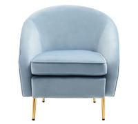Mink Velvet Arm Chair, Luxury Velvet Upholstered Accent Chair, Comfortable Armchair for Home, Office Premier Housewares Blue One Size