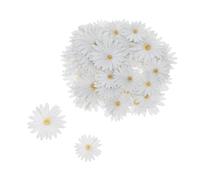 minkissy 1 Box White Daisy Flower Cupcake Toppers for Birthday and Wedding Parties, Paper Material Delicate Floral Design, Easy to Use and Fit Standard Sized Cupcakes, Elegant Cake