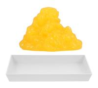 minkissy 1 Pound Body Fat Model with Base Human Anatomy Teaching Fat Display for Nutrition and Fitness Education for School and Health Science