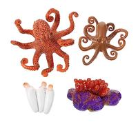 minkissy 1 Set Lifelike Octopus Growth Cycle Model Realistic Octopus Life Cycle Figurine for Educational Teaching Aid and Home for Understanding Sea Creatures and Morphology