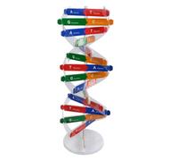 minkissy 1Set Double Helix Dna Model Kit for Educational Science Teaching Aid Self Assembling Structure for Physiology Learning Schools and Home