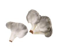 minkissy 2pcs Lifelike Simulation Vegetable Models for for Play Food Kitchen Decor and Garden Aesthetics
