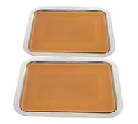 minkissy 2pcs Metal Dissecting Tray Sturdy Laboratory Organizer for Biology Experiments Wax Dissection Pans for Safe and Efficient Lab Use
