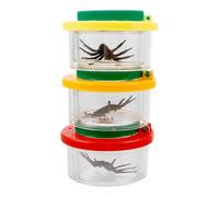 minkissy 3Pcs Insect Observation Box with Magnifier Science Exploration Jar for Collecting and Studying Insects Leaves and More Safe and Distinctive Insect Viewer for Nature
