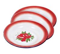 minkissy 3pcs Retro Round Dishes Food Serving Plate Vintage Enamel Plates with Floral Pattern Sturdy Non-breakable Elegant Design for Dessert Shops and Thanksgiving Assorted Style