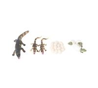 minkissy 4pcs Animal Model Set Realistic Growth Cycle Display Props for Educational Use for Teaching and Learning About Life Cycles