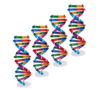 minkissy 4pcs Dna Double Helix Structure Model Kit Human Genes Molecular Teaching DIY Assembly for Classroom School Science Education Home Use