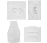 minkissy 4pcs Gypsum Facial Features Sculpture Model Set for Sketch Practice - Realistic Plaster Eye Ear Nose Mouth Art Teaching Aid for Drawing and Craft