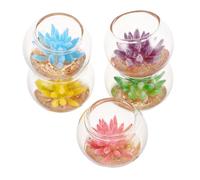 minkissy 5pcs Miniature Artificial Succulent Plants Colorful Dollhouse Glass Planters for Fairy Garden DIY Mini Bonsai Accessories for Micro Landscape and Space Scene Creation