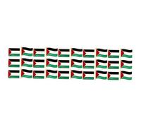minkissy 5sets Palestine Flag Brooch Pins Durable Metal Lapel Pins for Men Creative Design for Clothing Hats and Bags Showcase for Casual Wear 6pcs*5