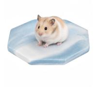 minkissy Ceramic Hamster Cooling Board Octagonal for Summer Sleeping Areas | Smooth Burr-free Surface, One Piece Design, for Rats and Hamsters, Cool Resting Spot Random Color