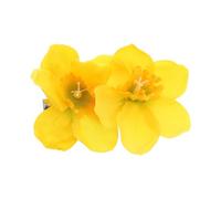 minkissy Daffodil Floral Hair Clip Set, 2 Pieces Artificial Flower Barrettes for Women, Yellow Bloom Hairpin Side Bangs Accessory, Garden-inspired Hair Clips for Weddings and Parties