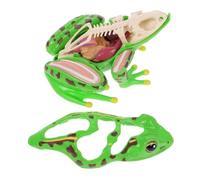 minkissy Detachable Frog Anatomy Model Educational Biology Puzzle for Homeschool Classroom Study Reusable Frog Dissection Kit Teaching Tool for Students and Teachers