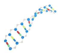 minkissy Double Helix Dna Model Educational Science Tool for Students Human Dna Structure Learning Aid for Classrooms and Home Study Enhance Observation Analytical Skills