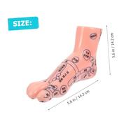 minkissy Foot Model Realistic Teaching Reflexology Display Tool for Foot Massage Acupressure Education in Schools Nursing and Health Training Institutions