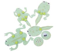 minkissy Frog Model Kit 4pcs Educational Science Kit for Boys and Girls DIY Tadpole to Frog Transformation Model Biology Learning Tool for Students