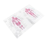 minkissy Human Anatomy Poster Skeletal System and Muscle Diagram 40x60cm Silk Fabric Educational Wall Chart for Science Classroom and Medical Office Decor