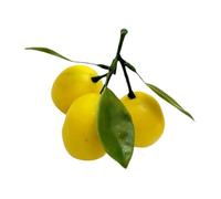 minkissy Realistic Artificial Lemon Decoration Head Garland Lightweight Fake Fruit Model for Farmhouse Table and Shop Window Display and Lifelike Citrus Prop