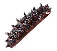 minkissy Realistic Sea Cucumber Model PVC Simulation Food Prop for Photography and Market Display Educational Animal Cognitive to Enhance Learning and Pretend Play