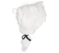 minkissy Reusable Judge Wig for Cosplay Lawyer Hairpiece with Natural Look and Material Gentleman Style Court Wig for Fancy Dress and Role Playing Parties