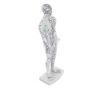 minkissy White Human Body Acupuncture Model with Realistic Meridians for Hospital Training Pressure Point Massage Educational Use Male Mannequin for Students and Practitioners