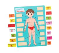 minkissy Wooden Human Body Puzzle Toy for Kids Educational Anatomy Learning Tool for Early Childhood 1 Set of Cognitive Toys for Boys and Girls