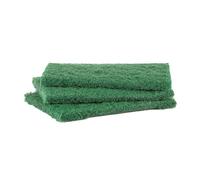 Minky Antibacterial Sponge Scourers (Pack Of 3) Green (One Size)