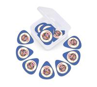Minnesota State Flag print Guitar Picks 12 Pack, Mixed (0.46-0.96mm) with Storage Case for Guitar,ukulele
