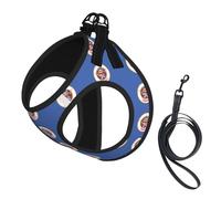 Minnesota State Flag Print Pet Supplies Adjustable Step-In Flex Breathable Mesh Dog Harness For Small Medium Dogs, S-L