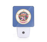 Minnesota State Flag Print Plug-in Night Light for Bedroom Hallway Bathroom Mounted Lighting Dorm Home Decor
