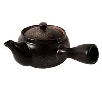 Mino ware Japanese Pottery Teapot Kyusu Kurobizen Matte Black with Infuser made in Japan (Japan Import) SYK003 (Matte Black)