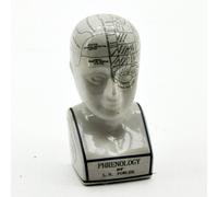 Minster 12 Inch Phrenology Head Ornament - Ceramic - L12 x W14 x H28 cm in White | Size: 1 Pack Minster White 1 Pack