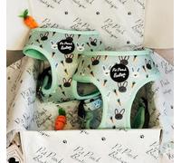 Mint Choc Chip Easter Bunny Harness XS