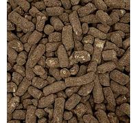 Mint Chocolate Nibbles 700g Re-Sealable Pouch by The Gourmet Sweet Company