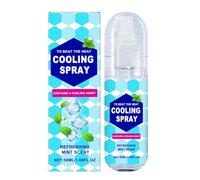 Mint Cool Spray, Summer Cool Spray, Cooling Spray for Hot Weather, Cold Spray, Ice Spray, Natural Mint Spray, Cooling Spray for Face and Body, Instant Cooling on Hot Days (1 Piece)