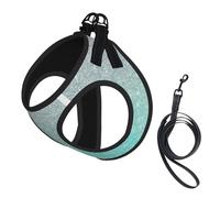 Mint Green Sliver Ombre No Pull Dog Harness and Leash Set, Cute Reflective Adjustable Vest for Small Dogs,Breathable Mesh Puppy Harness for Walking Hiking,Medium