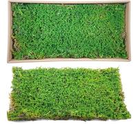 Mintalin 2pcs 7.1’*14.2’ Artificial Dried Sheet Moss Fake Moss Preserved Green Moss Mat for Plant Cover Moss Craft Arts Floral Wedding Decor Centerpiece Fairy Garden Decoration