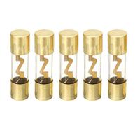 Mintice 5 X 40A AGU Fuse Car Automotive Audio Power Safety Protect Glass Tube Gold Plated Protection