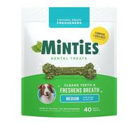 Minties Dog Toys, Safety and Bite Resistant, Interactive, Chewing and Durable, Perfect for Puppy Dogs and Medium Dogs, Mint Flavor, 0.04125 ounces