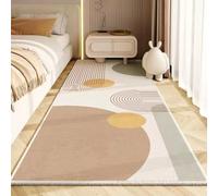 MINTIFNT Modern Minimalist Living Room Carpet Home Decoration Bedroom Bedside Area Rug Sofa Coffee Table Floor Mat Entrance Door Porch Doormat 120x160cm